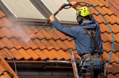Démoussage et hydrofuge de toiture à Fessy